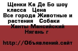 Щенки Ка Де Бо шоу класса › Цена ­ 60 000 - Все города Животные и растения » Собаки   . Ханты-Мансийский,Нягань г.